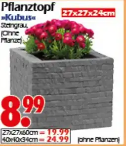 Wreesmann Pflanztopf Angebot