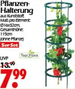 Wreesmann Pflanzen- Halterung Top Flora Angebot