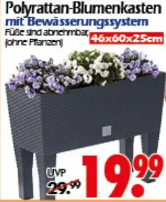 Wreesmann Polyrattan-Blumenkasten Angebot