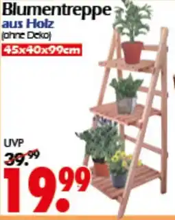 Wreesmann Blumentreppe Angebot