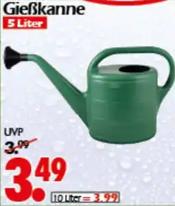 Wreesmann Gießkanne Angebot