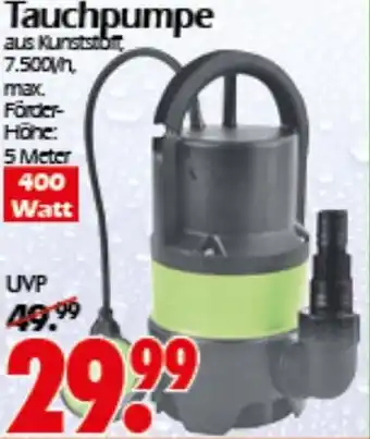Wreesmann Tauchpumpe Angebot