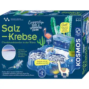 Netto Marken-Discount Kosmos Experimentierkasten Salzkrebse Angebot