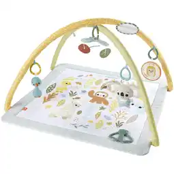 Netto Marken-Discount Fisher-Price Spielbogen/Decke Fisher-Price Simply Senses Sensorische Erlebnisdecke Angebot