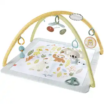 Netto Marken-Discount Fisher-Price Spielbogen/Decke Fisher-Price Simply Senses Sensorische Erlebnisdecke Angebot