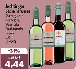 Aktiv Irma Jechtinger Badische Weine Angebot