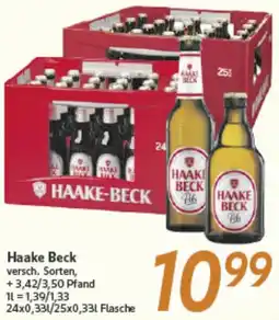 inkoop Haake Beck Angebot