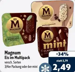 Aktiv Irma Magnum Eis im Multipack Angebot