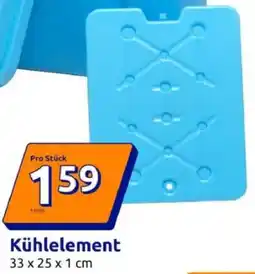 Action Kühlelement Angebot