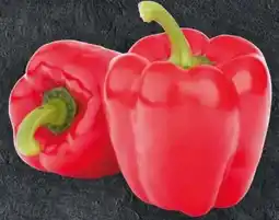 Handelshof Paprika Rot Angebot