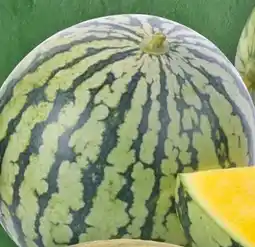 Handelshof Wassermelone Angebot