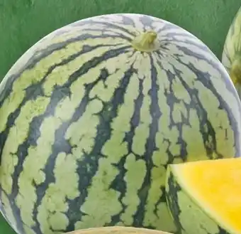 Handelshof Wassermelone Angebot
