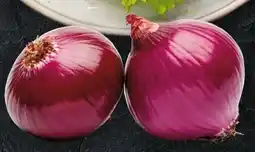 Handelshof Zwiebeln Angebot