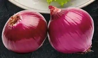 Handelshof Zwiebeln Angebot