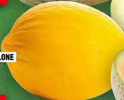 Handelshof Honigmelone Angebot