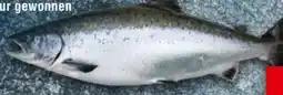 Handelshof Lachs Angebot