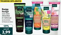 Aktiv Irma Kneipp Duschgel Angebot