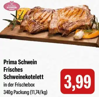 Feneberg Prima Schwein Frisches Schweinekotelett Angebot