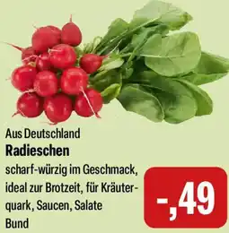 Feneberg Radieschen Angebot