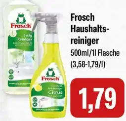 Feneberg Frosch Haushaltsreiniger Angebot