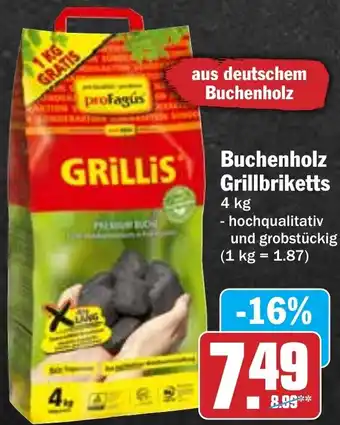 HIT ProFagus Buchenholz Grillbriketts Angebot