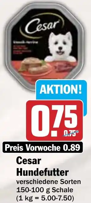 HIT Cesar Hundefutter Angebot