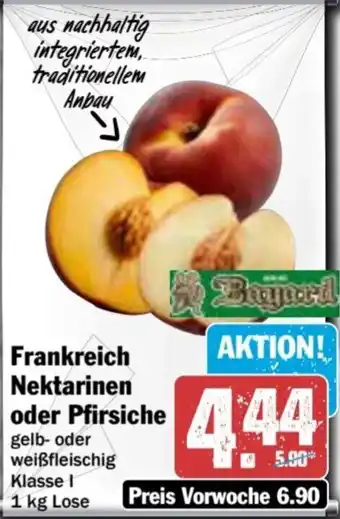 AEZ Frankreich Nektarinen oder Pfirsiche Angebot
