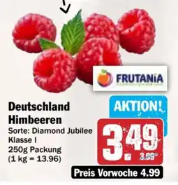 AEZ Deutschland Himbeeren Angebot