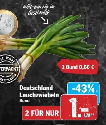 AEZ Deutschland Lauchzwiebeln Angebot