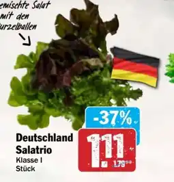 AEZ Deutschland Salatrio Angebot