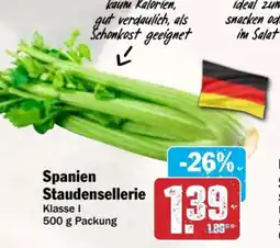 AEZ Spanien Staudensellerie Angebot