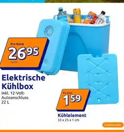 Action Elektrische kühlbox oder kühlelement Angebot