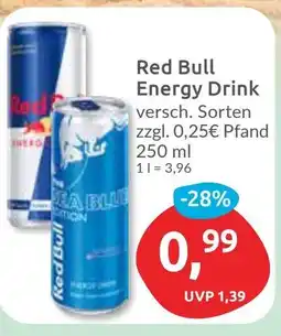 Budni Red Bull Energy Drink Angebot