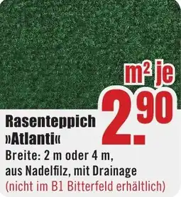 B1 Discount Baumarkt Rasenteppich Atlanti Angebot