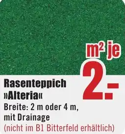 B1 Discount Baumarkt Rasenteppich Alteria Angebot