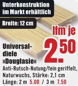 B1 Discount Baumarkt Universaldiele Douglasie Angebot