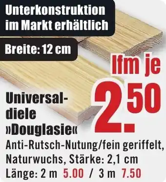 B1 Discount Baumarkt Universaldiele Douglasie Angebot
