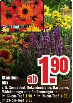 B1 Discount Baumarkt Stauden Mix Angebot