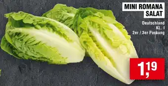 Handelshof Mini romana salat Angebot