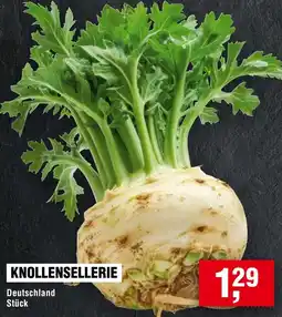 Handelshof Knollensellerie Angebot