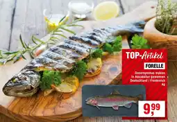 Handelshof Forelle Angebot