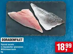 Handelshof Doradenfilet Angebot