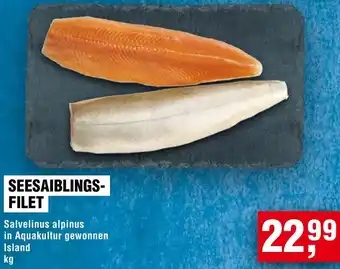 Handelshof Seesaiblingsfilet Angebot