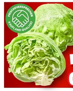 Kaufland Eisbergsalat Angebot