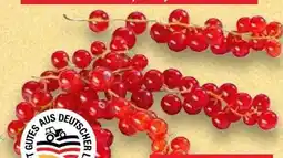 Kaufland Johannisbeeren Angebot