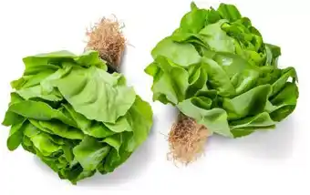 Kaufland Kopfsalat Angebot