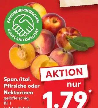 Kaufland Kaufland pfirsiche Angebot