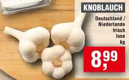 Handelshof Knoblauch Angebot