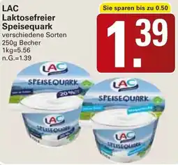 WEZ LAC Laktosefreier Speisequark Angebot