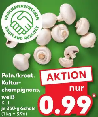 Kaufland Poln./kroat. Kultur- champignons, weiß Angebot